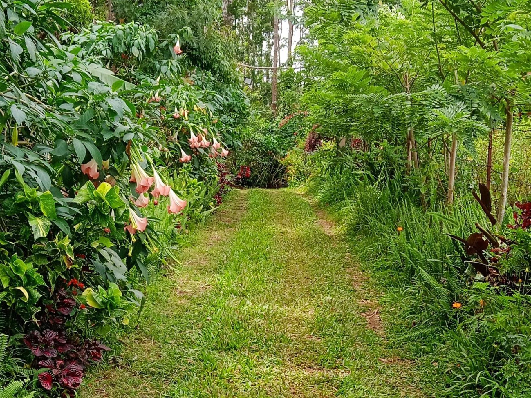 Farmer Homestay Yercaud Exterior foto